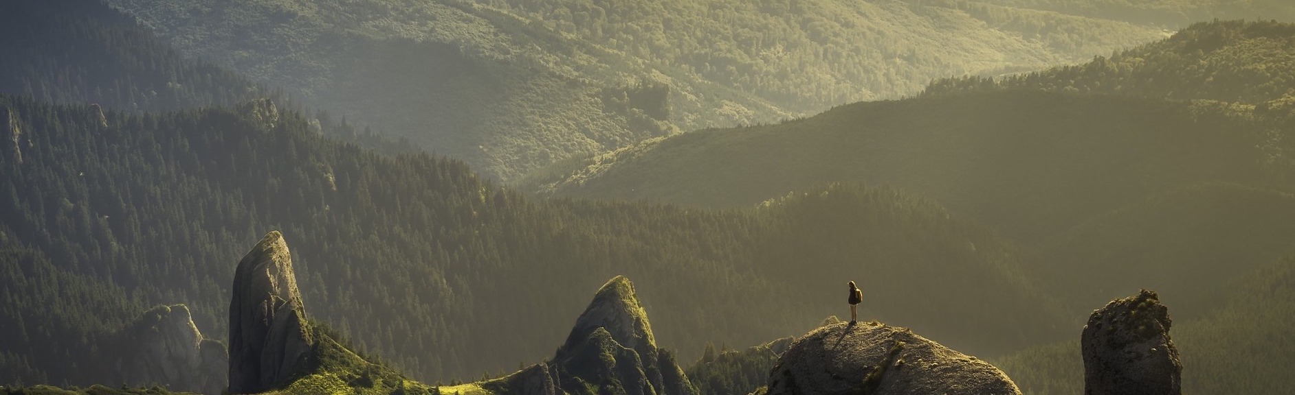 Patrycja Dresler - Mediator